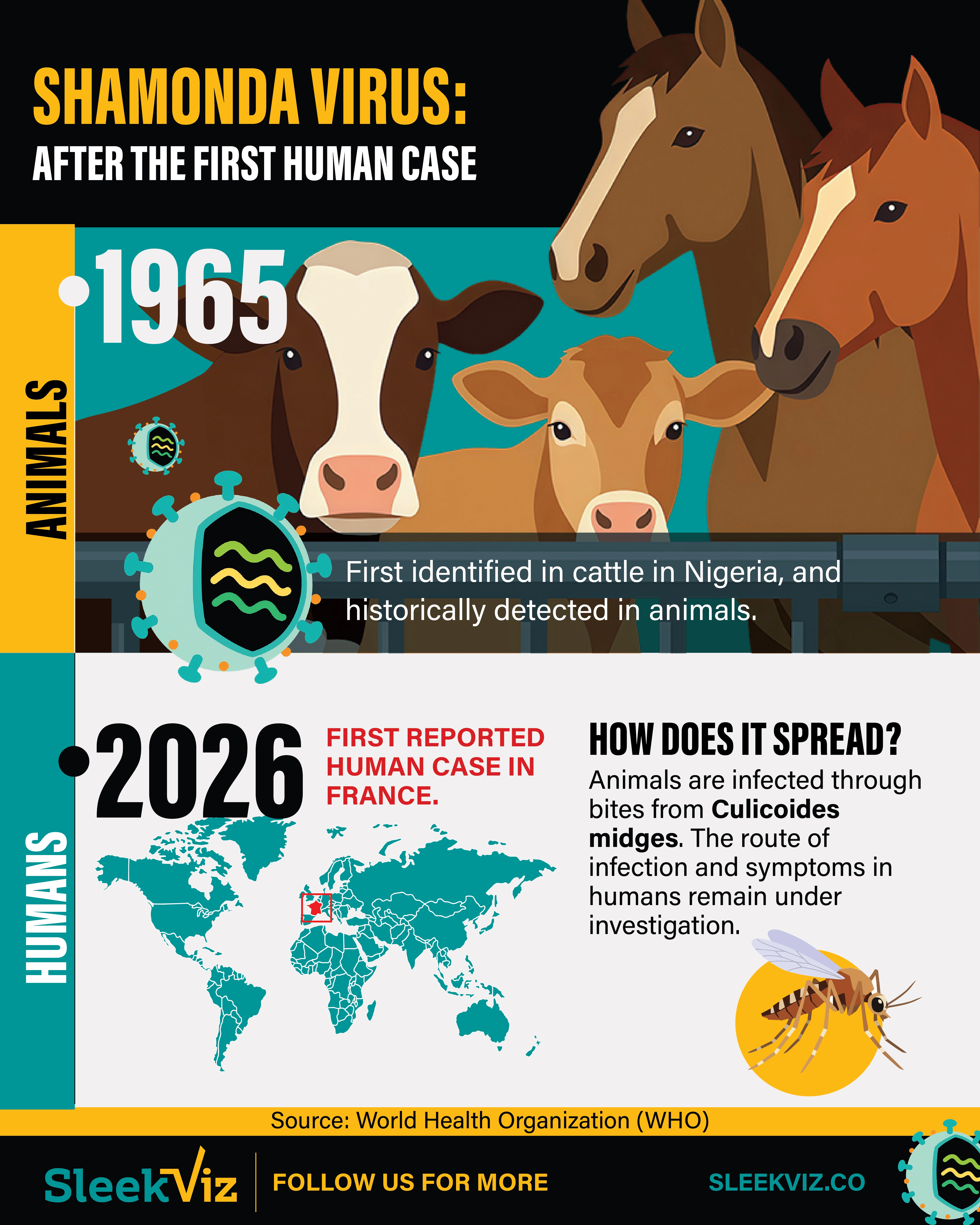 An infographic showing the details about the Shamonda virus
